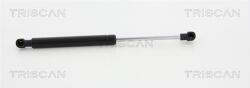 TRISCAN Amortizor capota TRISCAN 8710 23119 (8710 23119) - fixbox