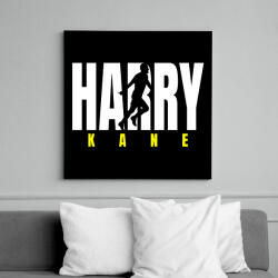 printfashion Harry kane - Vászonkép - Fekete (17553799)