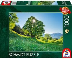 Schmidt Spiele Puzzle játék 1000 darabos Juhar a napfényfényben St. Gallen Svájc (59761)