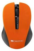 CANYON MW-1 (CAMSW1O)