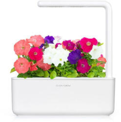 Click & Grow petúnia kapszula magvakkal és hordozóval 3db (SGR27X3) (SGR27X3)