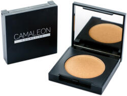 Camaleon Highlighter bronz (2, 5g)