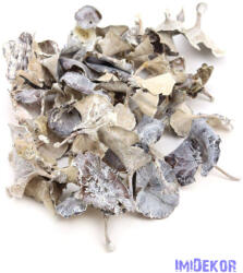  Gomba 5dkg/csomag - Hamvas