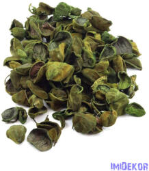  Land lútusz 16dkg/csomag - Zöld