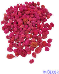  Casurina 11, 5dkg/csomag - Pink