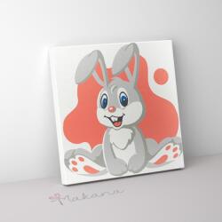 Makana Nyuszi - Gyerek számfestő készlet (20x20 cm keretre feszített)