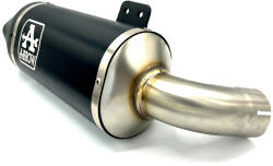 Arrow Exhaust Tobă finală ARROW Indy Race pentru BMW F 900 R 2020-2024, Aluminiu închis (Dark)