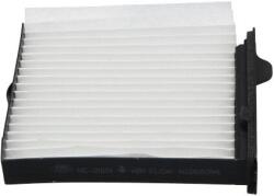 KAVO PARTS Filtru, aer habitaclu KAVO PARTS NC-2029 (NC-2029)