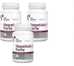 VetExpert Hepatiale Forte Large Breed 3x40 tablete