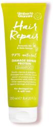 Umberto Giannini Hair Repair sampon reparator cu ulei de avocado si extract kale 250 ml
