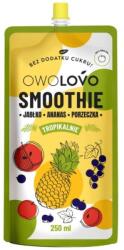 OWOLOVO Tropic Smoothie Alma-Ananász-Fekete Ribizli - 250ml - vitaminbolt - 598 Ft