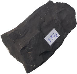 Shungite Piatra mare vindecatoare Shungite 170g-179g, ecranare impotriva radiatiilor si protectie electromagnetica (PMSh170G)