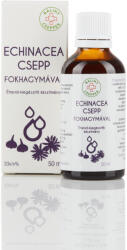 Bálint Cseppek Echinacea cseppek fokhagymával 50 ml (0180001088)