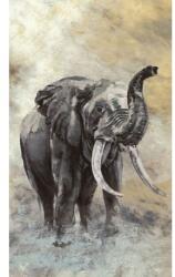 MARBURG Fototapet Elefant african Travertino