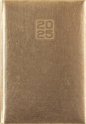 Dayliner Naptár, tervező, B6, heti, DAYLINER, "Mirror", arany (BLACKFRIDAY_CR_NMHB6A25)