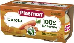 Plasmon Пюре от моркови 6+м 2х80г - topcho-online