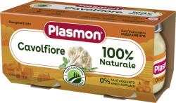 Plasmon Пюре от карфиол 6+м 2х80г - topcho-online