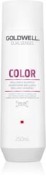 Goldwell Dualsenses Color șampon pentru protecția părului vopsit 250 ml