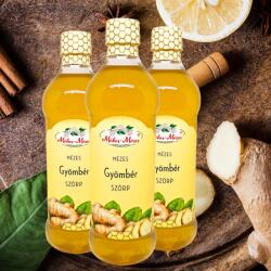 Méhes-Mézes gyömbér szörp - 500ml