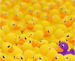 Ravensburger 12000587 - Gumikacsák - 1000 db-os Challenge puzzle (12000587)