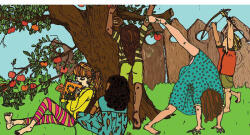  Bengáli tigris a hátsó kertben diafilm