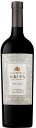 SALENTEIN Numina Petit Verdot 2018 (száraz) 0.75l