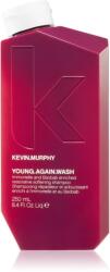 KEVIN.MURPHY Young Again Wash șampon păr fragil, deteriorat sau uscat 250 ml