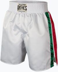 Cleto Reyes Férfi boxnadrág Cleto Reyes Satin Boxing white/green/red