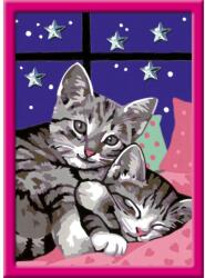Ravensburger - CreArt Pictura pe numere pentru copii Pisicute somnoroase cu pietre sclipitoare (art_RVSPBN20213)