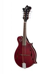 Epiphone F-5 Studio Wine Red Satin