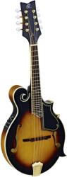 Ortega RMFE90TS mandolin