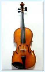 Savona Student Line Brácsa 15, 5