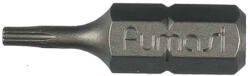 Fumasi torx bithegy készlet - 10 db, TX06 x 25mm, 1/4" (F260506)