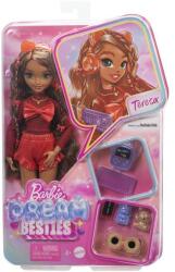 Barbie Papusa Barbie Dream Besties Teresa, cu accesorii Papusa