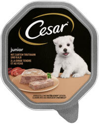 Cesar 14x150g Cesar Junior pulyka & borjú tálcás nedves kutyatáp