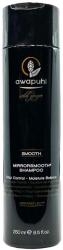 Paul Mitchell Awapuhi Wild Ginger Smooth Mirrorsmooth Shampoo 250 ml