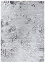  Szőnyeg TREX ORNAMENT szürke 160x220