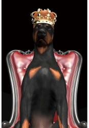 Signal Kép DOG IN CROWN 80x120 cm (DOGINCROWN80)
