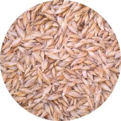  Bio alakor ősbúzafű mag 30kg