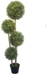  Buxus bokor cserepes 80x80x125 cm