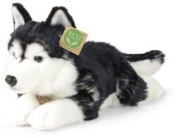 Rappa ECO-FRIENDLY 36 cm-es husky plüss kutya (RP230118)