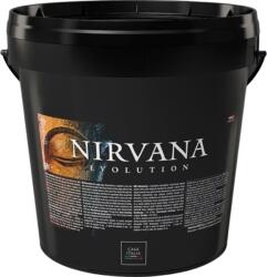 Casati Color Nirvana Classic Argento dekor festék ezüst, 1, 25l