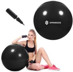 Springos Gimnasztikai labda pumpával, 150kg, 55 cm - Fekete (FB0013)