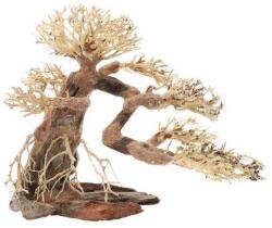  DUPLA - Akváriumi Bonsai Fa - Dekoráció - 40x20x30cm