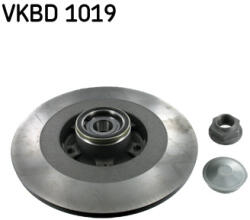 SKF Disc frana spate SKF VKBD1019