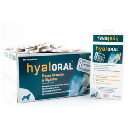 Hyaloral Large Breed 12 Tablete/Blister