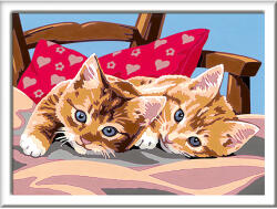 Ravensburger Pictura Pe Numere - Pisicute (ARA-RVSPBN28938) Carte de colorat