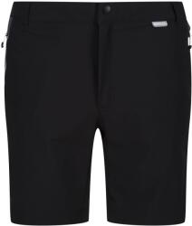 REGATTA Férfi Mountain II rövidnadrág fekete|szürke
