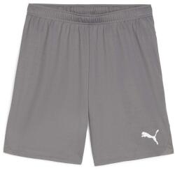 PUMA Teamgoal Shorts (70575213)