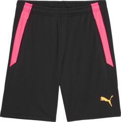 PUMA Teamliga Training Shorts 2 (65766757)